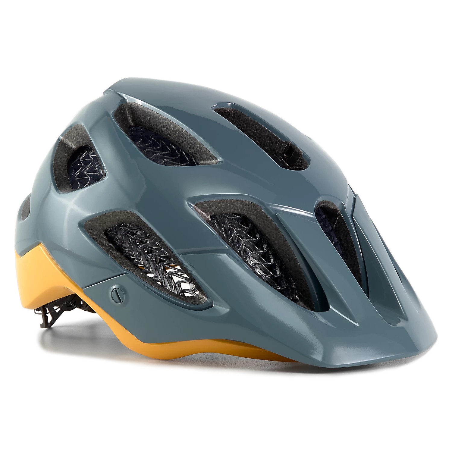 bontrager blaze