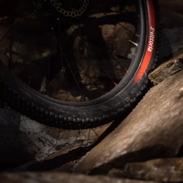 Puncture Resistance in Enduro Bike Tires