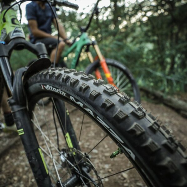 Enduro Bike Tire Size Selection