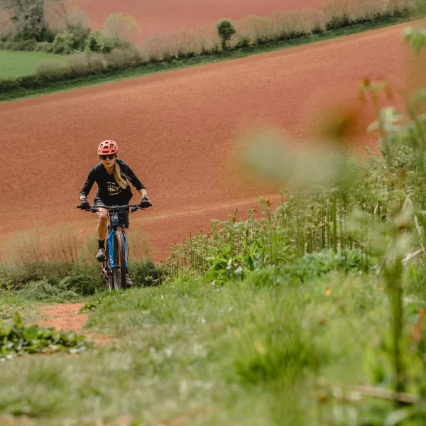 Seasonal Tire Choices for Enduro Biking