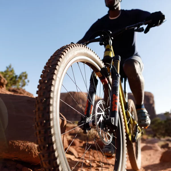 The Role of Rim Width in Mountain Biking