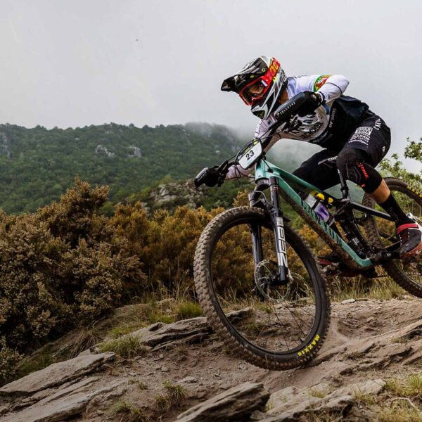 Wheel Size and Tire Selection for Enduro Bikes