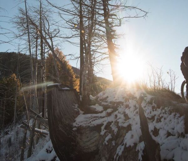 Choosing a Gravel Bike Helmet for Winter Riding