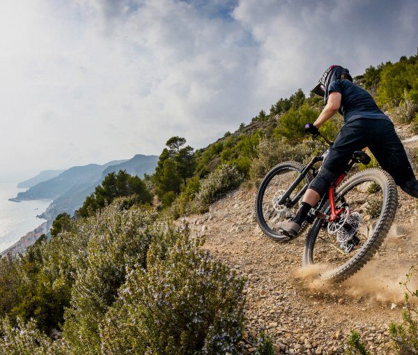 Wheel Size Options for Trail Bikes