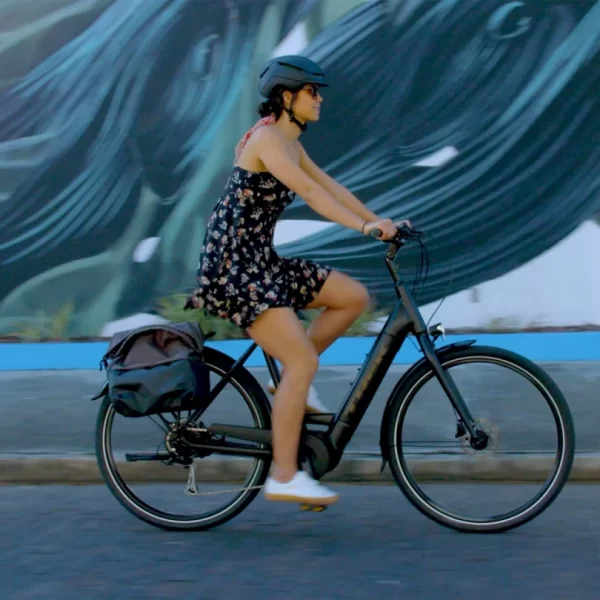 Regular Maintenance for City Cruiser E-Bikes