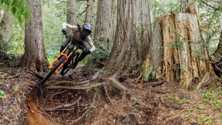 Conquering the Mountain: Durability and Ruggedness of Downhill Bike Tires