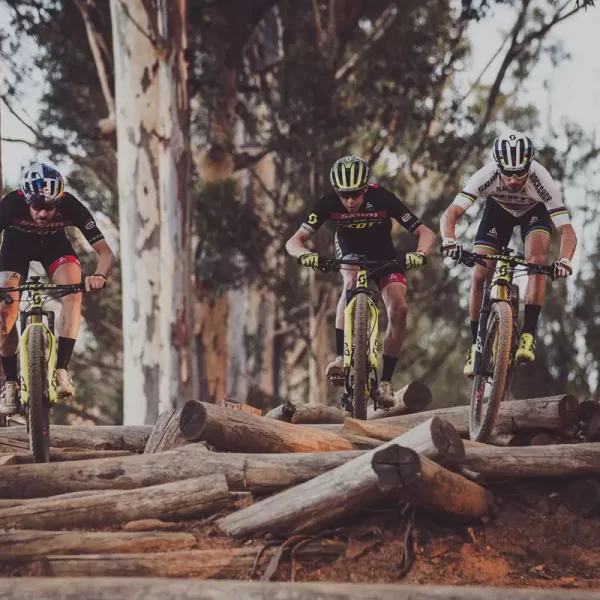 Durability Factors for Cross Country Bike Tires